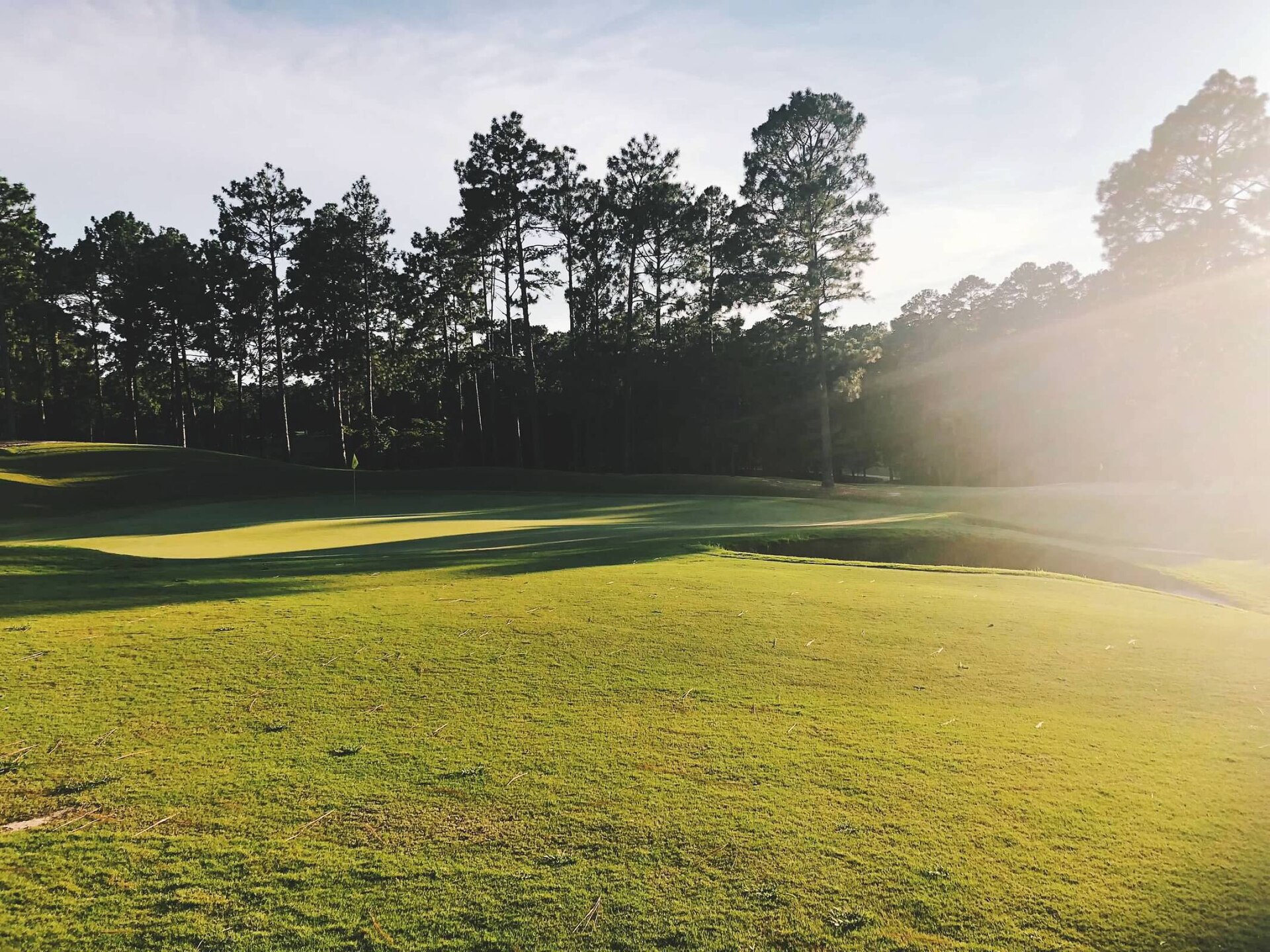 A putting green framed by pines at Pinehurst, North Carolina.